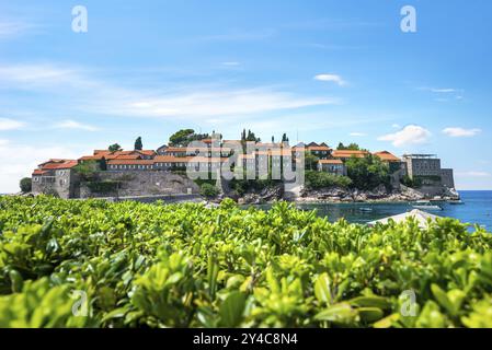 Buissons verts près de l'ancien Sveti Stefan au Monténégro Banque D'Images