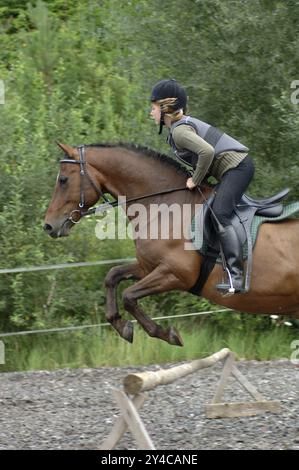 Jeune rider jumping Banque D'Images