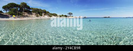 Eaux cristallines à Palombaggia, Tamaricciu, Corse Banque D'Images