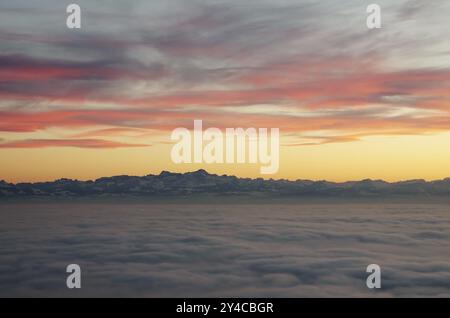 Coucher de soleil sur la mer de brouillard sur le lac de Constance, situation météo inversée avec vue sur les Alpes Banque D'Images