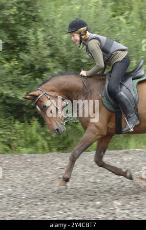 Cavalier avec gilet de protection lors d'un galop Banque D'Images