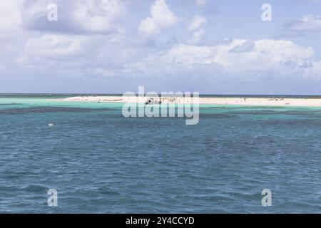 Grande barrière de corail, parc national de Michaelmas Cay, à 40 km au nord-est de Cairns, dans le nord-est de l'État australien du Queensland Banque D'Images