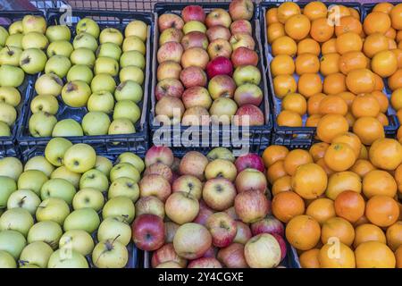 Pommes et mandarines à vendre sur un marché Banque D'Images