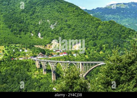 Djurdjevicha pont sur la rivière Tara dans les montagnes du Monténégro Banque D'Images