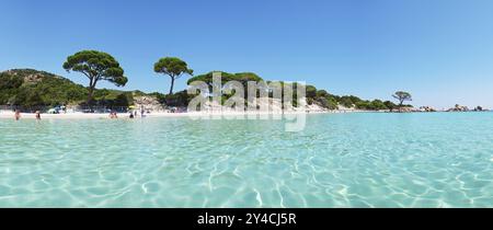 Eaux cristallines à Palombaggia, Tamaricciu, Corse Banque D'Images