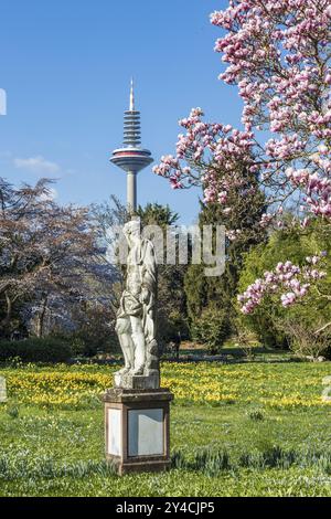 FRANCFORT-SUR-le-MAIN, Allemagne, 2 avril 2021- Statue de Pluton devant un magnolia fleuri dans le Palmengarten et la tour de télévision dans le b. Banque D'Images