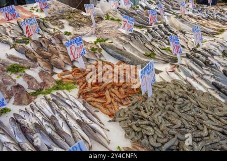 Crevettes fraîches et autres poissons et fruits de mer en vente sur un marché à Naples, Italie, Europe Banque D'Images