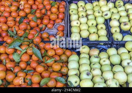 Pommes vertes et mandarines à vendre sur un marché Banque D'Images