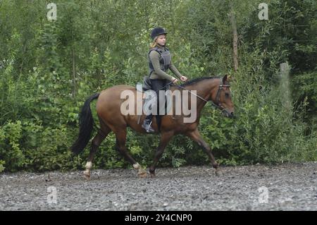 Cavalier trotter avec gilet de protection Banque D'Images