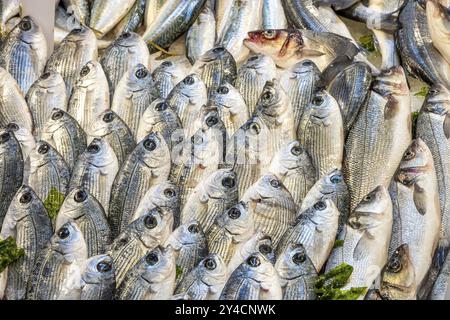 Un tas de poisson frais à vendre sur un marché à Naples, Italie, Europe Banque D'Images