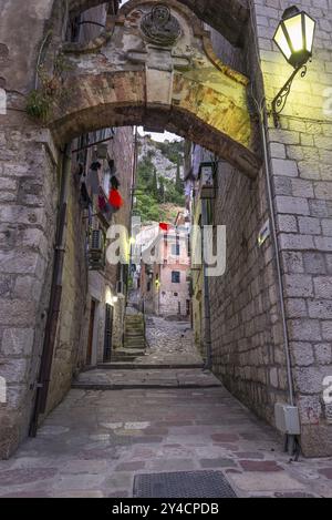 Vieille rue étroite à Kotor tôt le matin, Monténégro, Europe Banque D'Images