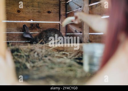 Nourrir un lapin dans une hutte en bois avec une litière de foin Banque D'Images