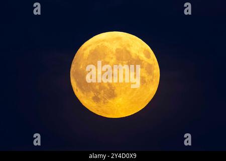 Weymouth, Dorset, Royaume-Uni. 17 septembre 2024. Météo britannique. La pleine lune de la moisson brille orange alors qu'elle se lève dans le ciel nocturne clair à Weymouth dans le Dorset. La lune de ce mois est une super lune avec une éclipse partielle survenant aux premières heures du 18 septembre. Crédit photo : Graham Hunt/Alamy Live News Banque D'Images