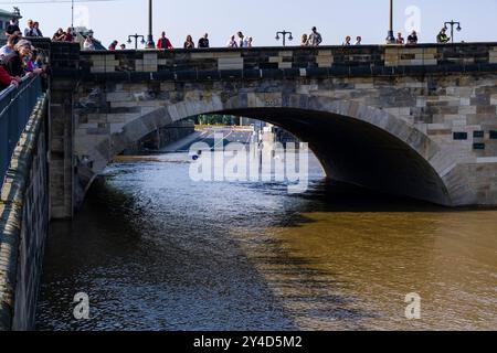 Crue de l'Elbe à Dresde le 17/09/2024 avec un niveau d'eau de 5,90 m, la rue le long de la rivière est inondée, les touristes regardant le paysage. D Banque D'Images