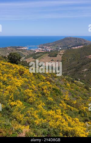 Vue aérienne de Collioure à Port-Vendres et la côte depuis la Vall de Pintes. Occitanie, France Banque D'Images