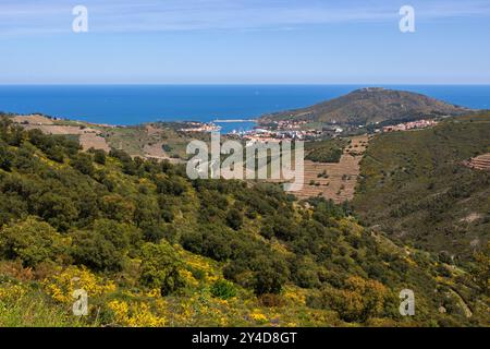 Vue aérienne de Collioure à Port-Vendres et la côte depuis la Vall de Pintes. Occitanie, France Banque D'Images