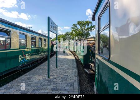 Die historische Dampfzugverbindung mit dem Rasenden Roland genannten Schmalspur Zug, der Rügensche Bäderbahn, RüBB, hier der Bahnhof Sellin Ost, verkehrt von Lauterbach mole, Putbus, Binz, Sellin, Baabe nach Göhren, Mecklembourg-Poméranie occidentale Rasender Roland *** la liaison historique du train à vapeur avec le train à voie étroite appelé Rasender Roland, le Rügensche Bäderbahn, RüBB, ici la gare Sellin Ost, va de Lauterbach mole, Putbus, Binz, Sellin, Baabe à Göhren, Mecklenburg-Vorpommern, Allemagne Rasender Roland Banque D'Images