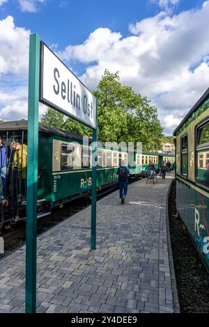 Die historische Dampfzugverbindung mit dem Rasenden Roland genannten Schmalspur Zug, der Rügensche Bäderbahn, RüBB, hier der Bahnhof Sellin Ost, verkehrt von Lauterbach mole, Putbus, Binz, Sellin, Baabe nach Göhren, Mecklembourg-Poméranie occidentale Rasender Roland *** la liaison historique du train à vapeur avec le train à voie étroite appelé Rasender Roland, le Rügensche Bäderbahn, RüBB, ici la gare Sellin Ost, va de Lauterbach mole, Putbus, Binz, Sellin, Baabe à Göhren, Mecklenburg-Vorpommern, Allemagne Rasender Roland Banque D'Images