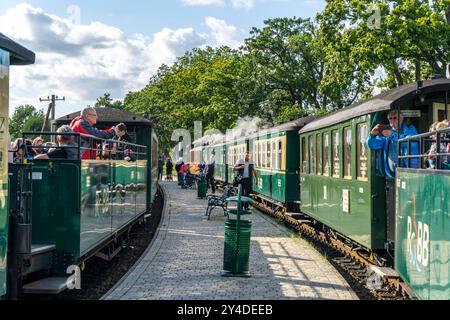 Die historische Dampfzugverbindung mit dem Rasenden Roland genannten Schmalspur Zug, der Rügensche Bäderbahn, RüBB, hier der Bahnhof Sellin Ost, verkehrt von Lauterbach mole, Putbus, Binz, Sellin, Baabe nach Göhren, Mecklembourg-Poméranie occidentale Rasender Roland *** la liaison historique du train à vapeur avec le train à voie étroite appelé Rasender Roland, le Rügensche Bäderbahn, RüBB, ici la gare Sellin Ost, va de Lauterbach mole, Putbus, Binz, Sellin, Baabe à Göhren, Mecklenburg-Vorpommern, Allemagne Rasender Roland Banque D'Images