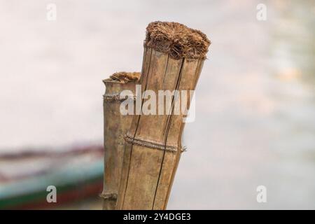 Plan de gros plan extrême en bambou sec de couleur marron Banque D'Images