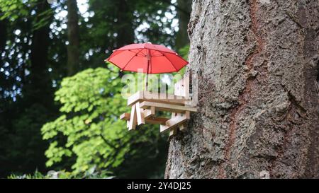 Mangeoire d'oiseau ou d'écureuil de fantaisie en forme de table de pique-nique miniature sur l'arbre Banque D'Images