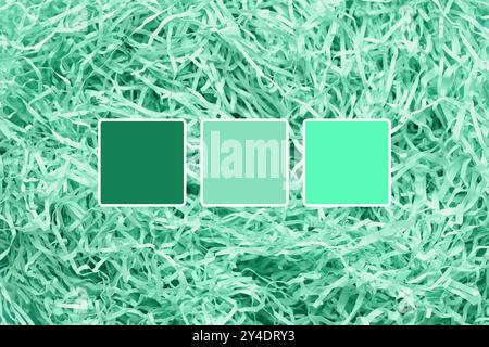 Vue rapprochée du papier déchiqueté à la menthe. Différents motifs de couleur Banque D'Images