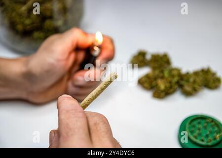 Joint de marijuana de gravure Banque D'Images