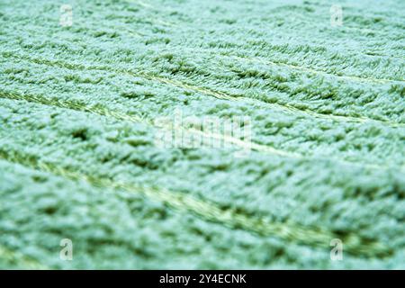 Vue détaillée de la texture fourrure verte avec des fils visibles. L'image est idéale pour illustrer un sentiment confortable Banque D'Images