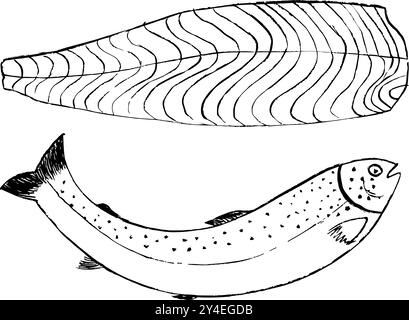 poisson de saumon dessiné à la main et illustration de filet, griffonnages de poisson de saumon et filet Illustration de Vecteur