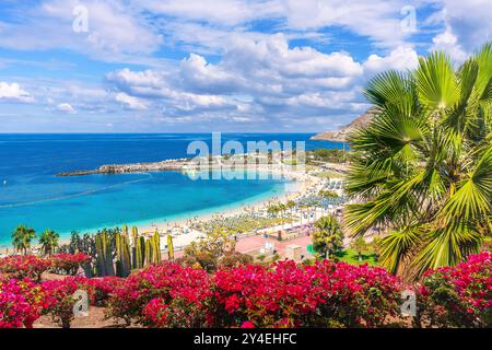 Amadores Beach à Gran Canaria, avec des eaux turquoises, des palmiers et une atmosphère relaxante parfaite pour des vacances tropicales ou une escapade en famille. Banque D'Images