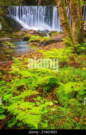 Au cœur des forêts des Asturies, dans le nord-ouest de l'Espagne, à une quinzaine de kilomètres de Vegadeo, sur la rive gauche de la rivière Suarón, se trouve la cascade Banque D'Images