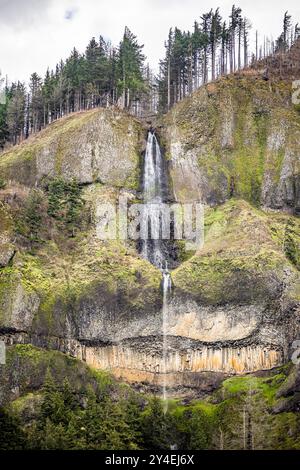 Vue sur le paysage de la cascade pittoresque à deux cascades d'une montagne de haute roche envahie d'épinettes vertes sur la chaîne de montagnes de Columbia Rive Banque D'Images