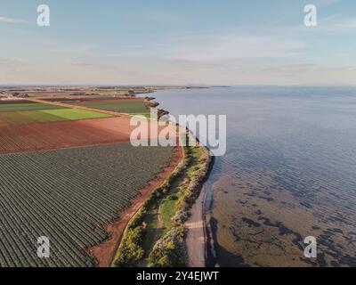 Vue aérienne des jardins marchands et des terres agricoles le long de la côte de la baie de Port Phillip à Werribee South, Victoria, Australie avec la skyline de la ville de Melbourne Banque D'Images