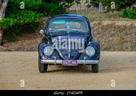 Coccinelle Volkswagen de 1961 construite en Australie, en noir, photographiée en Victoria, Australie Banque D'Images