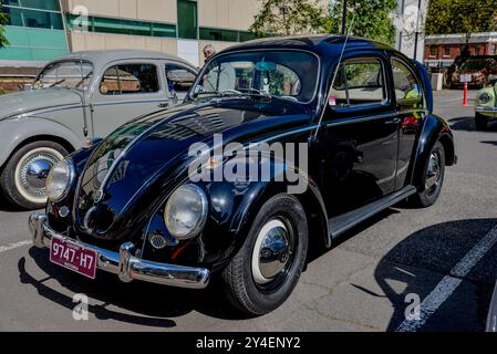 Coccinelle Volkswagen australienne noire de 1961 construite à Clayton, Victoria, avec des détails chromés classiques et un style original Banque D'Images