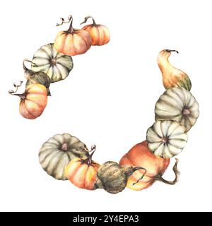 Couronne de citrouilles. Cadre circulaire de récolte des légumes d'automne. Isolé de l'arrière-plan. Illustration d'automne d'aquarelle. Jardinage nature dessiné à la main Banque D'Images
