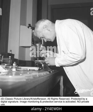 Sir Alexander Fleming 1945. 6 août 1881 - 11 mars 1955, médecin et microbiologiste écossais, mieux connu pour avoir découvert la première substance antibiotique largement efficace au monde, qu'il a nommée pénicilline. Sa découverte en 1928 de ce qui a été plus tard appelé benzylpénicilline (ou pénicilline G) à partir de la moisissure Penicillium rubens a été décrite comme la « plus grande victoire jamais atteinte sur la maladie ». Pour cette découverte, il partage le prix Nobel de physiologie ou médecine en 1945 avec Howard Florey et Ernst Boris Chain. Photographié à l'automne 1945 dans son laboratoire à l'hôpital St Mary i. Banque D'Images