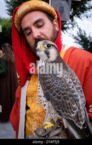 Falconer avec son oiseau de proie à la Fête des remparts dans la ville médiévale de Dinan dans la région des côtes-d Armor en Bretagne le 22 juillet 202 Banque D'Images