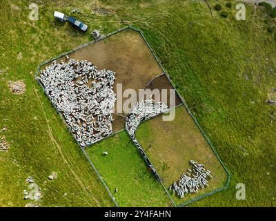 Département des Hautes-Pyrénées (Hautes Pyrénées, sud-ouest de la France) : ambiance en fin de transhumance, avant l'automne, dans la vallée du Moudang, en haute Banque D'Images