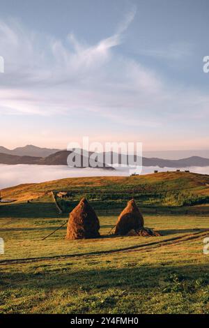 Lumière dorée du matin sur Haystacks Banque D'Images