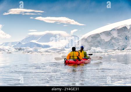 PORT DE NEKO, Antarctique — les kayakistes glissent dans les eaux calmes du port de Neko, en Antarctique, s'arrêtant pour admirer les paysages époustouflants de glaciers, d'icebergs et de montagnes enneigées. Cette scène sereine capture l'essence de l'exploration antarctique, mettant en valeur la perspective unique qu'offre le kayak dans l'un des environnements les plus reculés et les plus vierges du monde. Banque D'Images