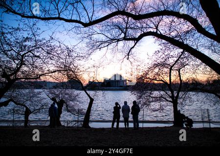 WASHINGTON DC, États-Unis — visiteurs et photographes se rassemblent au Tidal Basin, attendant que le soleil se lève derrière le Jefferson Memorial au début du printemps. Les cerisiers en fleurs n'ont pas encore fleuri, mais la lumière du matin sereine et le monument emblématique de Washington, DC, offrent un début de journée magnifique. Banque D'Images