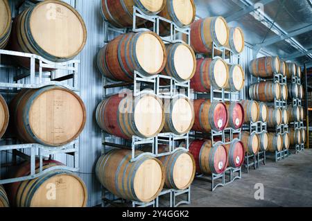 STANTHORPE, Queensland, Australie — des fûts de chêne bordent la salle de fermentation et de vieillissement de Summit Estate Winery, dans la région viticole Granite Belt du Queensland. Ces récipients en chêne traditionnels jouent un rôle crucial dans le processus de production du vin, en conférant des saveurs distinctes et en permettant une maturation adéquate. Les fûts représentent un équipement essentiel dans la production de vins de climat frais de la cave. Banque D'Images