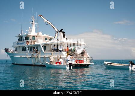 GLADSTONE, Queensland, Australie — Un bateau de pêche affrété navigue dans les eaux calmes du récif de Swains dans le sud du système de la Grande barrière de corail. Swains Reef, situé à environ 200 kilomètres au large de Gladstone, représente l'une des principales destinations de pêche du Queensland. Le complexe de récifs fournit un habitat à de nombreuses espèces de poissons recherchées par les pêcheurs récréatifs. Banque D'Images