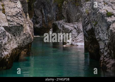 La nature sauvage incroyable et la beauté de la rivière pure et froide Soča dans le parc national du Triglav, Slovénie. Banque D'Images