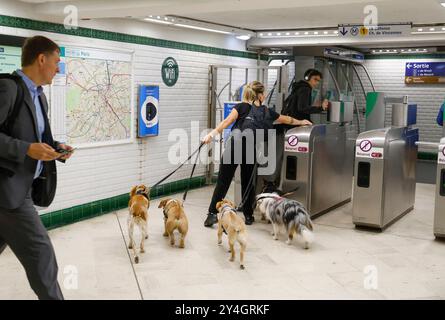 DOG WALKER DANS LE MÉTRO PARISIEN Banque D'Images