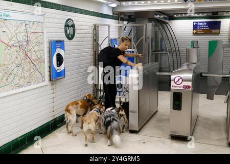 DOG WALKER DANS LE MÉTRO PARISIEN Banque D'Images