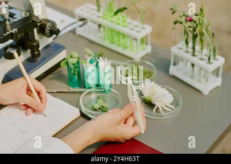 Scientifique examinant différents échantillons botaniques avec un microscope et des tubes à essai. Noter les observations tout en disposant les plantes et les fleurs dans divers labo Banque D'Images