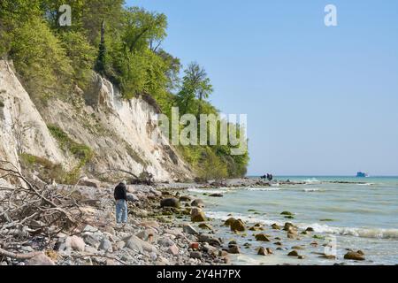 Spaziergänger am Strand unterhalb der Kreidefelsen, nahe Sassnitz, Nationalpark Jasmund, Insel Rügen, Ostseeküste Mecklembourg-Poméranie occidentale, Allemagne Banque D'Images