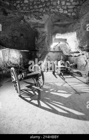 Cave à vin dans Château de Breze (Château de Breze), pays de la Loire, France Banque D'Images